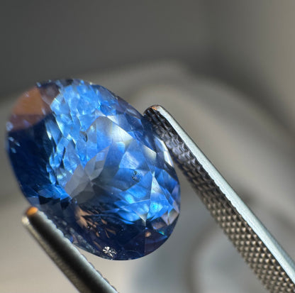 GIA Certified | Natural Blue Sapphire | Cornflower Blue | Oval Cut | 3.68ct