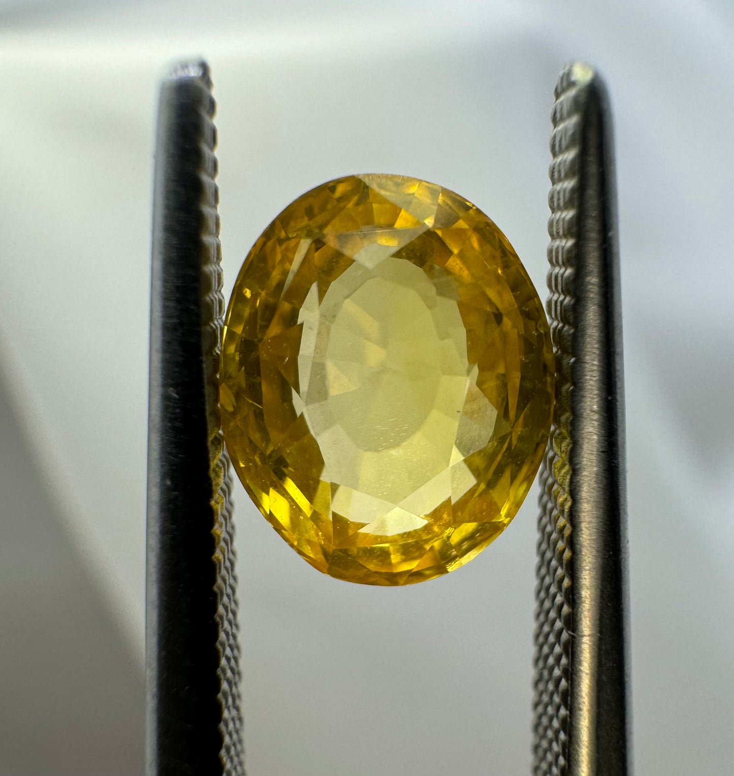 Natural Yellow Sapphire - 1.67ct - Oval Mixed Cut